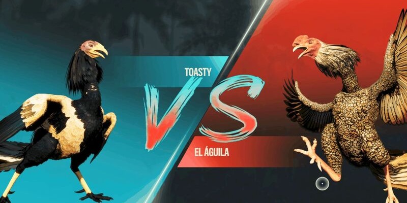 Hình thức tham gia các trang web để đá gà