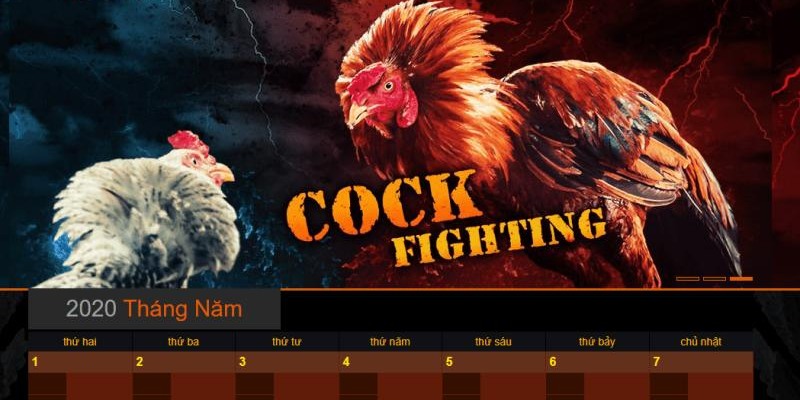 Nhận mức thưởng siêu khủng từ các trang đá gà