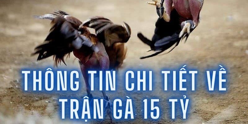 Tìm hiểu thông tin chi tiết về trận gà 15 tỷ