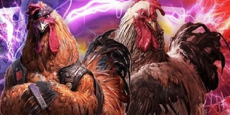 Tìm hiểu về những trang web đá gà trực tuyến